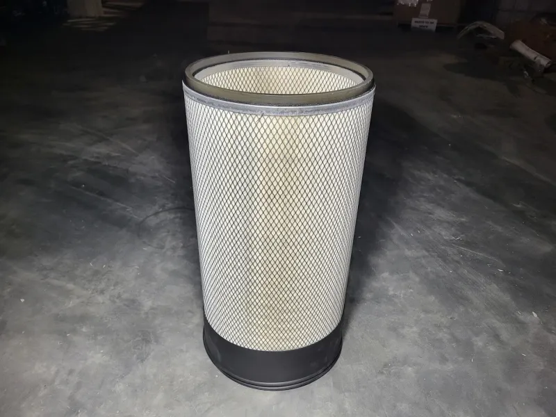 Air Filter R4257047
