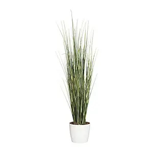 Equisetumgras, Keramiktopf weiß, Höhe 950 mm.