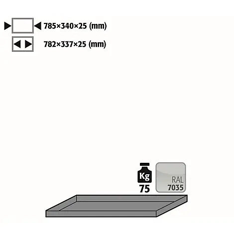 Fachboden Gewöhnlich für asecos Druckgasflaschenschränke, Stahlblech, lichtgrau, B 785 x T 340 x H 25 mm, bis 75 kg