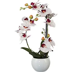 Phalaenopsis, Höhe 420 mm, im Keramiktopf, Blüten rosa, 3D-Print.