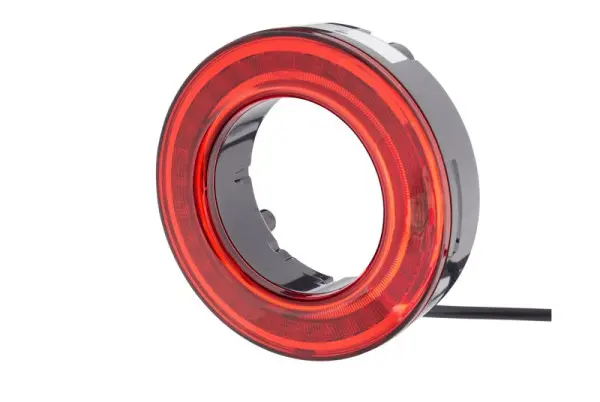 HELLA Heckleuchte - LED - 12V - Schraubanschluss - Lichtscheibenfarbe: rot - Kabel: 250mm - Stecker: AMP - rechts/links 2S...