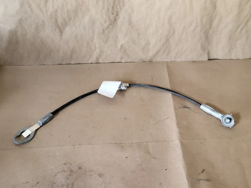 Tailgate Support Cable Assembly 3L3Z-9943052-AA