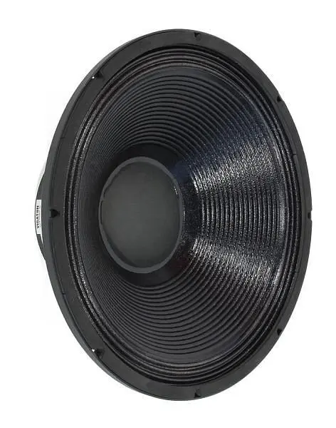 Visaton Tieftoner für PA Systeme PAW 46 - 8 Ohm 3056