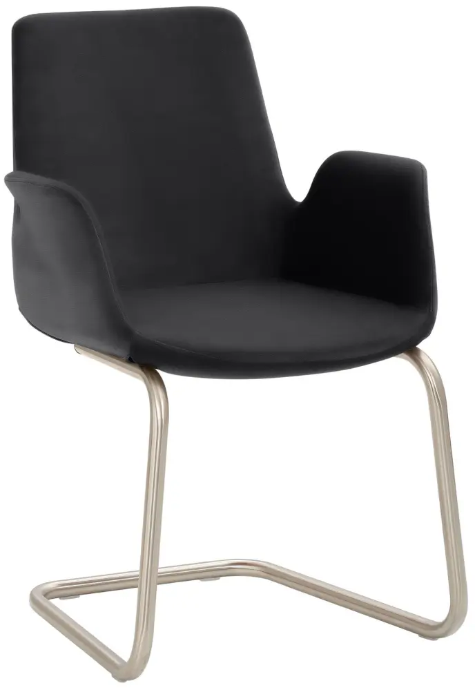 Mayer Sitzmöbel Sessel Freischwinger-Gestell Chrom gebürstet Edelstahllook anthrazit 2009_F4_30487