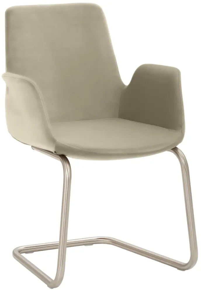 Mayer Sitzmöbel Sessel Freischwinger-Gestell Chrom gebürstet Edelstahllook taupe 2009_F4_30484