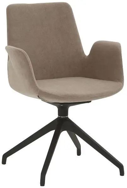 Mayer Sitzmöbel Sessel myHELIOS Sitz-/ + Rückenbezug Samtvelour Hellbraun Sternfuß-Gestell Kunststoff Schwarz 2009_S3_3...