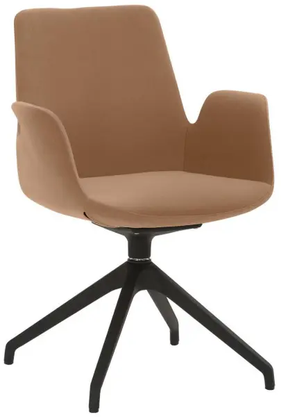 Mayer Sitzmöbel Sessel Sternfuß-Gestell Kunststoff schwarz 360° drehbar hellbraun 2009_S3_30485