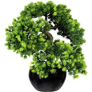 Bonsai Lärche, mit Kies, im Keramiktopf, schwarz, Höhe 370 mm, Topf 150 x 90 mm.
