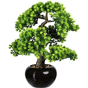 Bonsai Lärche, mit Kies, im Keramiktopf, schwarz, Höhe 480 mm, Topf 180 x 110 mm.