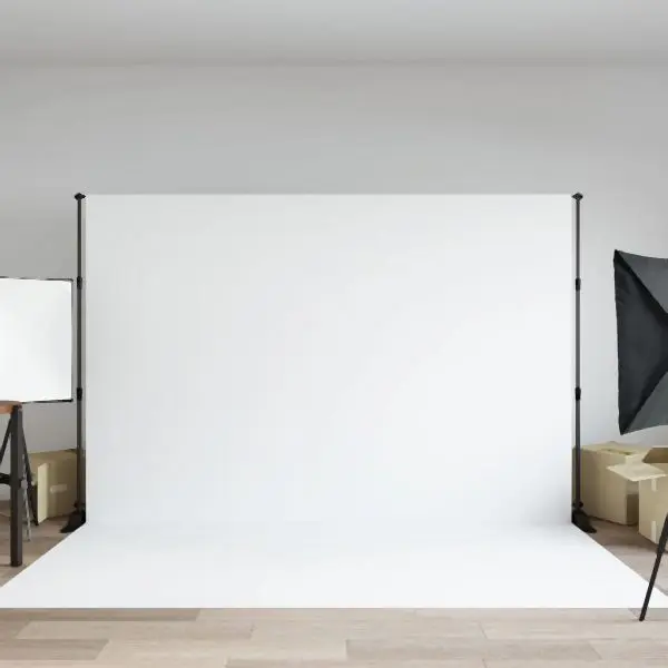 vidaXL Hintergrundstativ Schwarz 305x243 cm Stahl 190268