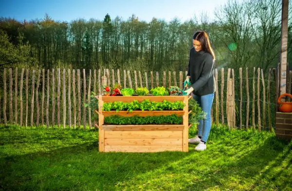 Westmann körpergerechtes Premium Hochbeet 91 Stück124x73cm XXL WM102408