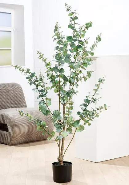 Getopfte Pflanze, Eukalyptus, Kunststoff, grün, H. 150 cm für Tomaten