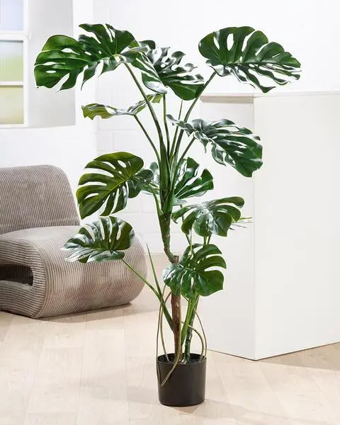 Wurzelballen- Getopfte Pflanze, Monstera, Kunststoff, grün, H. 120 cm