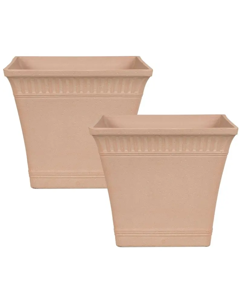 Wurzelballen- Set mit 2 Blumentöpfen PSATHA Stein 41 cm Pfirsichrosa