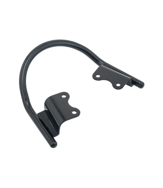 Kupplungs- Passagierhandlauf für Triumph ab 2016