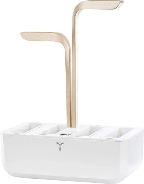 Veritable Indoor Garden CONNECT Moonlight Gold Weiß, Golden 330 mm 230 V 2 l Höhenverstellbar, Wasserstandswarnung, per Ap