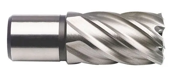 Projahn Kernbohrer HSS 250 mm Schnitttiefe 550 mm 38525055