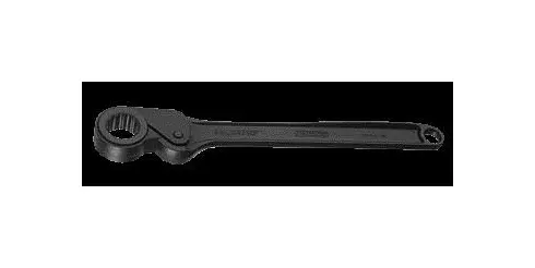 GEDORE Freilaufknarre mit Verwendungring 12 kant UD-Profil bzw. Doppelsechskant 55 mm 6256710