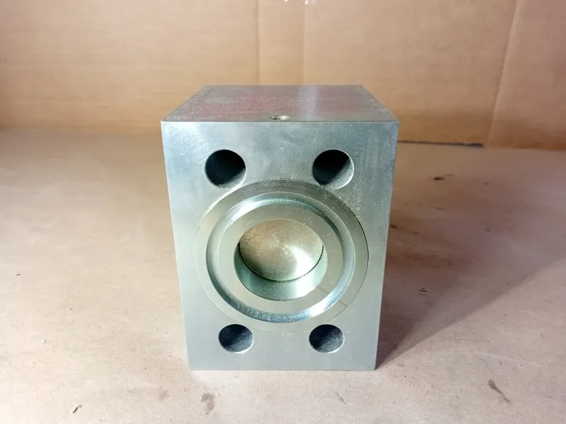 TÜV-geprüft Check Valve R4133249