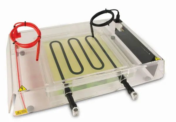 Consort EIEF1100-SYS Isoelektrisches Zielorientierungsiersystem 26X26 cm EIEF1100-SYS
