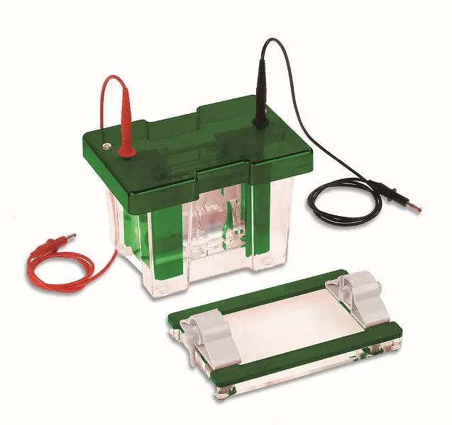 Consort EVS1100-SYS MINI-Vertikalsystem 10X10 cm EVS1100-SYS