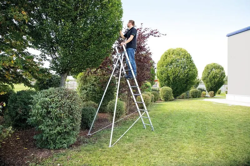 Munk Günzburger Steigtechnik Obstbaumstützen Geeignet für Anlegeleiter 10012 und Schiebeleiter 20212 019945