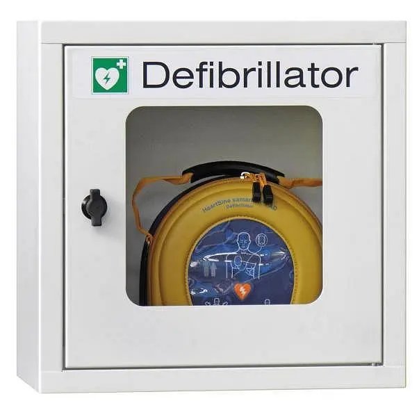 Pavoy Defischrank ohne Elektrik 400 x 400 x 220 Drehverschluss 22338-040-099-716
