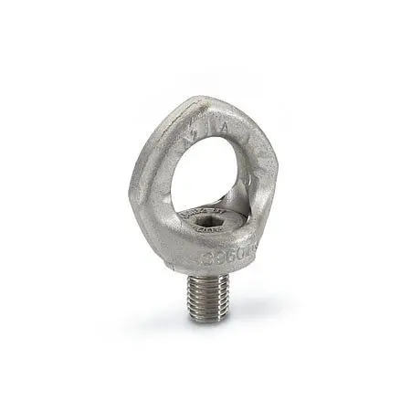 Ganter Ringschrauben Edelstahl (GN 581.5-M24) 581.5-M24