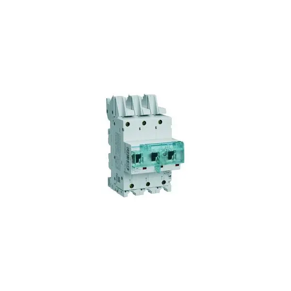 Hager SLS-Schantiker E 3p Sammelschantiker 80A 230V 6kV 690V/Ui 25kA Gr:2 IP2X HTS380E 116311
