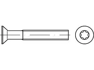 Senkschrauben DIN 965 4 M 5 x 6 -T25 VE=S (1000 Stück)
