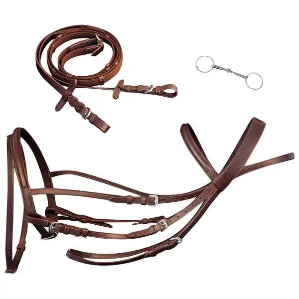 vidaXL Leder Trense Trensenzaum mit Zügeln und Gebiß braun Kolben 90893