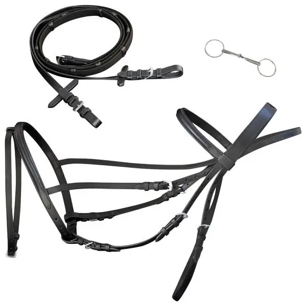 vidaXL Leder Trense Trensenzaum mit Zügeln und Gebiß schwarz Pony 90895