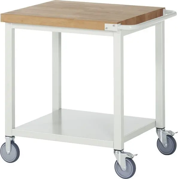 RAU Fahrbare Werkbank BASIC-8 - Modell 8000 Stahlblech-Ablageboden 750x880x700 mm A5-8000-6-07S