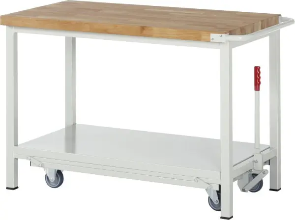 RAU Werkbank Serie BASIC-8 - Modell 8000 absenkbar Stahlblech-Ablageboden 1250x880x700 mm A5-8000-6-12F