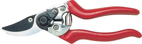 C.K G5631 Exklusiv Astschere 215 mm Bypass