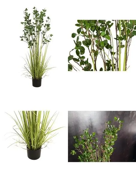 EUROPALMS Immergrünstrauch mit Gras, Kunstpflanze, 152 cm