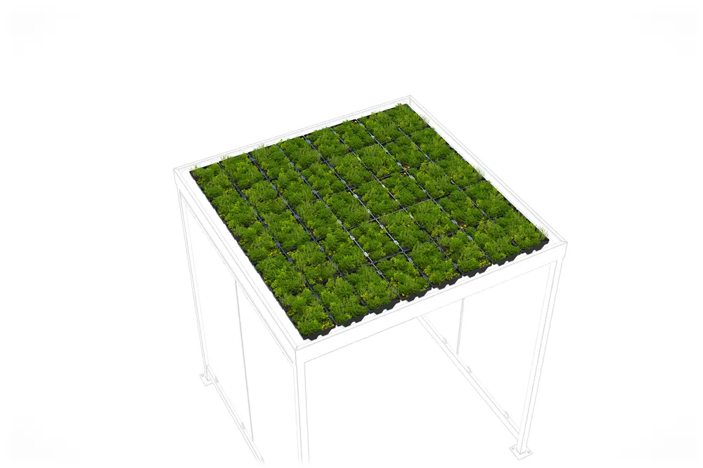 Dachbegrünung GreenPlus Economy II für WSM Überdachung Köln K2