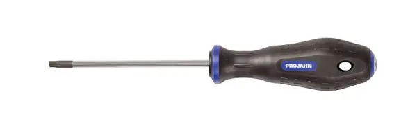Projahn TX Schraubenzieher T5 4130-05