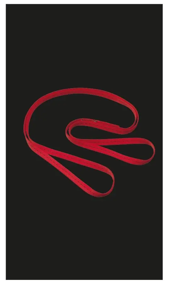 MAS Anschlag-Verbindungsmittel EN 354Typ B 2 gestreckte Länge 2 m 660002