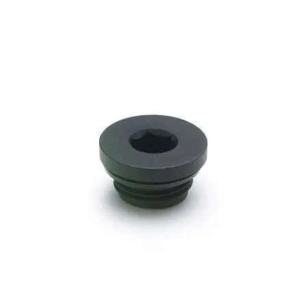 Ganter Verschlussschrauben Kunststoff (GN 746-G1/2) VE: 100 Stück 746-G1/2