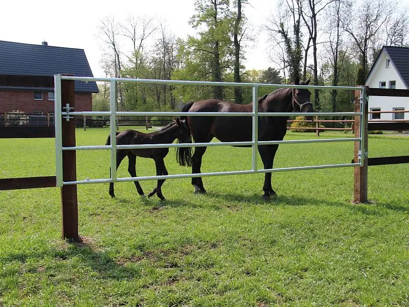 Growi Weidetor verstellbar FN Comfort-Line 105-170 cm 10076900