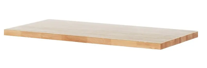 RAU Arbeitsplattenauflage transparent 1250x2x900 mm 09-APA-PL-125-900
