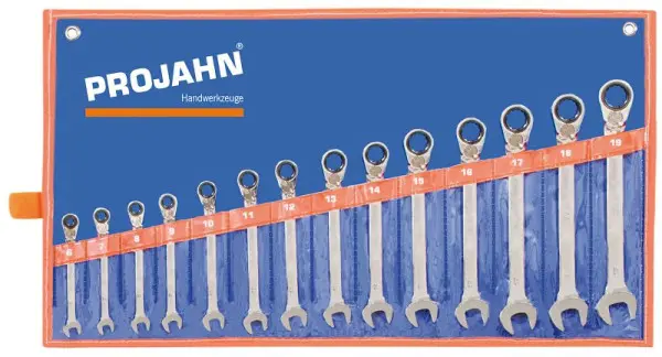 Projahn GearTech Schlüssel Satz Rolltasche umschantikbar 14 teilig 3994