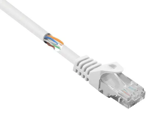 Renkforce RF-5043844 RJ45 Netzwerkkabel, Patchkabel CAT 5e U/UTP 0.15 m Weiß mit Rastnasenschutz 1 St.