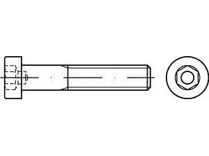 Zylinderschrauben DIN 6912 010.9 M 12 x 30 galvanisch verzinkt A2F getempert VE=S (100 Stück)