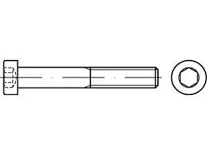 Zylinderschrauben DIN 7984 4 M 8 x 30 VE=S (100 Stück)